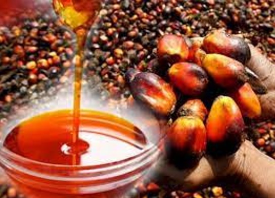 Benefits Of Palm Oil